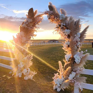 Vente en gros de petites pampas naturelles pour décoration de mariage, roseau à fleurs séchées, herbe de <span class=keywords><strong>pampa</strong></span> - Product Image 3