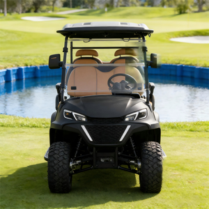 Voiturette de golf 2 places BETETEK avec amortisseur hydraulique pour utilisation en camping et en station balnéaire sur routes non publiques - Product Image 2