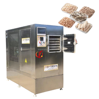 Qd Commerciële Roestvrijstalen Vacuüm Vriesdroger Elektrische Automatische Kattenhondenvoer Zeevruchten Vlees Fruit Groente Droogkernpomp