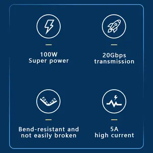 Type C Charge Cable With Type-c To Tipo USB-C USB 3.2 GEN2 100w 5A 20Gbps Mobile Phone Accessories Fast Charging Sync Data PD