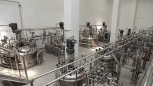 Biogrowing Gratis Monster 50 Miljard Cfu Probiotica Supplement Organische Probiotische Prebiotische Capsules Voor De Gezondheid Van Vrouwen - Product Image 6