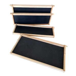 New Beekeeping Pine Wood Assembled With <b>Plastic</b> Foundation <b>Sheet</b> Beehive Frame - Product Image 1