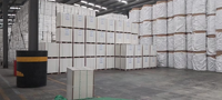 Échantillon Gratuit Papier Offset à Haute Blancheur en Pâte Vierge 70/80/100/120/140 g/m² Papier Bond Non Couché Sans Bois
