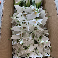 Lys artificiels de haute qualité L-052, fleurs blanches en calla, bouquet de mariage, décoration de Noël, décoration de Pâques, lys au toucher réaliste