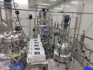 Motor de recipiente a presión de biorreactor con camisa de acero inoxidable para cultivo de células de mamífero de 2000L 220V/380V 1 año de garantía V - Product Image 4