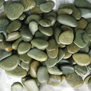 정원을 위한 돌 공급 높은 닦은 녹색 자갈 돌을 세련하십시오 현대