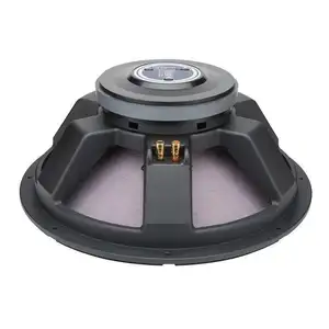 Nam Châm Lớn 18 Inch 1000W Chuyên Nghiệp Sub Woofer PA DJ Giá Sân Khấu Woofer Loa Điều Khiển Loa Cho Âm Nhạc