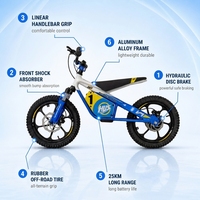Nouveau mini vélo de course électrique pour enfants, cadre en alliage d'aluminium, moteur sans balais 653W pour jeunes pilotes, fournisseur en gros