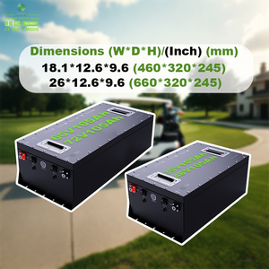 4000+ 사이클 리튬 이온 배터리 36V 48V 60V 72V 105Ah 골프 카트 AGV 지게차 무보수 - Product Image 1