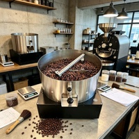 Machine à refroidir les grains de café en acier inoxydable 110V 220V avec tuyau de fumée pour torréfaction domestique 2KG