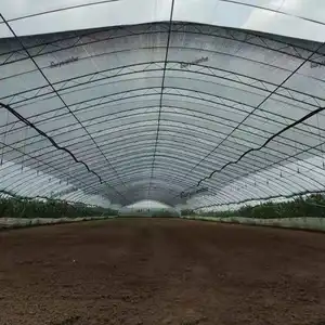 Fábrica de China Venta de bajo costo Red de sombra agrícola Invernadero Red de sombreado interior
