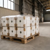 Module en fibre céramique blanche à faible rétrécissement, taille personnalisable, haute résistance 75 MPa, bloc d'isolation réfractaire à étanchéité étanche pour four