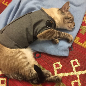 เสื้อแจ็กเก็ตกันหนาวบรรเทาความวิตกกังวลของแมวตัวน้อยเสื้อลดความวิตกกังวลเสื้อสำหรับสัตว์เลี้ยงบรรเทาความเครียดเสื้อกั๊กแจ็กเก็ต - Product Image 5