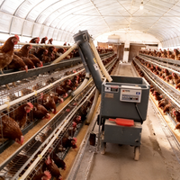 Nouveau Chariot Distributeur Automatique d'Aliments pour Bétail, Équipement Agricole en Acier pour Alimentation Humide/Sèche en Batterie
