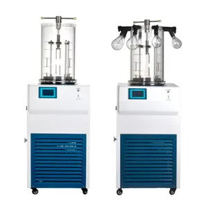 Multi More Functional Freeze Dryer Machine Laboratory Lyophilizer Price For Fruit And Vegetable