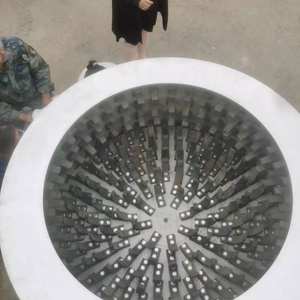 Tête de mouton sabot plumeuse Machine chèvre agneau pieds épilation Machine dépilatoire bétail pieds De poil plumer Machine - Product Image 5