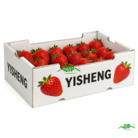 Op maat gemaakte PP plastic waterdichte golfkartonnen doos voor fruit- en groentevervoer, opvouwbaar en geschikt voor opslag