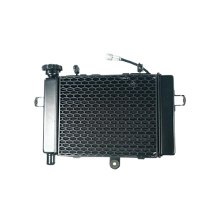 VOGE-Refroidisseur de <span class=keywords><strong>Radiateur</strong></span> en Aluminium Durable 250RR, Accessoire pour <span class=keywords><strong>Moto</strong></span>, Remplacement/Réparation du Système de Refroidissement d'Origine, LX250GS-3 - Product Image 2