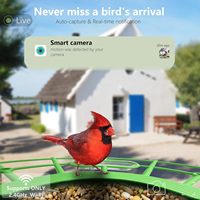 Ama-zon Offre Spéciale Mangeoire à oiseaux intelligente solaire personnalisée Caméra WIFI Réduction du bruit 2D/3D Détection de mouvement PIR Mangeoire à oiseaux intelligente