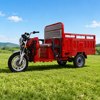 Moto électrique haute sécurité à carrosserie ouverte et cadre renforcé pour la construction et le transport