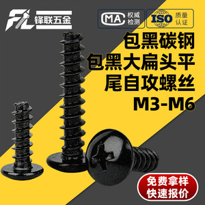 Vis autotaraudeuses Fenglian M3 M3.5 M4 à tête Phillips et tête plate en acier au carbone Q235, résistantes à la rouille, pour usage industriel - Product Image 4