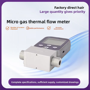 Medidor de Vazão de Gás Térmico com Display Digital RS485 500 L/min para Ar Comprimido, Nitrogênio, Oxigênio, Argônio com Sensor de Boia e Controlador - Product Image 4