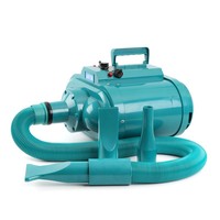 Sèche-cheveux électrique professionnel Blue Dolphin en acier inoxydable à double moteur haute puissance, sans support mural, pour grands chiens et salons de toilettage