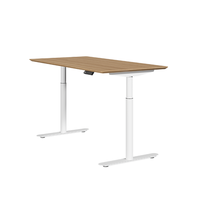 Bureau debout d'ordinateur moderne et simple Table élévatrice électrique bureau à domicile bureau debout réglable
