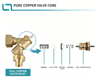 Pistolet laveur à pression à vapeur haute température 150 ℃   Buse cylindrique à connexion rapide résistante à la chaleur pour le nettoyage automobile