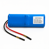 Batteries lithium-ion 12,8 V 4 Ah, pack de batteries LiFePO4 avec coque en PVC, pour la sauvegarde d'alimentation des systèmes de communication et l'alimentation des onduleurs