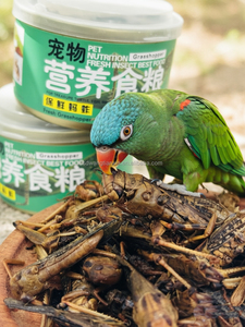 Suministro de Fábrica de Gafanhotos Frescos y Conservados, Alimento Nutritivo para Reptiles y Anfibios - Product Image 4