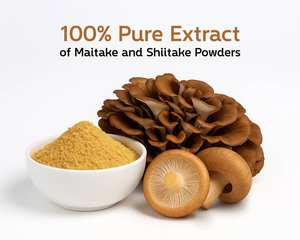 Capsules de champignons à base d'extraits végétaux sauvages en vrac de Thaïlande, vitamines de haute qualité, polysaccharides, peptides, sans emballage, qualité japonaise - Product Image 5