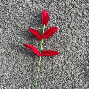 Hojas <span class=keywords><strong>de</strong></span> <span class=keywords><strong>Eucalipto</strong></span> Verdes Artificiales Hechas a Mano con Tallo <span class=keywords><strong>de</strong></span> Chenilla para Decoración del Hogar, Bodas y Eventos - Product Image 6