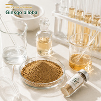 Extrait de Ginkgo Biloba 10:1 de qualité alimentaire, poudre d'extrait de Ginkgo en vrac pour les marchés d'exportation