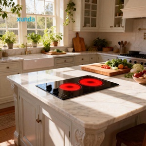 Table de cuisson à <span class=keywords><strong>induction</strong></span> électrique Xunda double, encastrable et sur plan, avec plaques céramiques horizontales, 2 brûleurs, pour usage domestique - Product Image 1