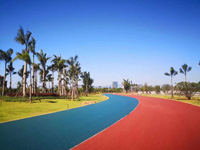 Pigment de béton, oxyde de fer, bleu, asphalte, poudre de bitum bleu pour la construction de routes