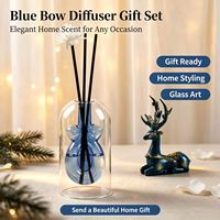 Ensemble cadeau de diffuseurs minimalistes en verre borosilicate transparent en forme de gourde, de luxe pour la maison
