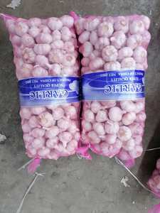 Ajo a granel <span class=keywords><strong>Comprar</strong></span> Precio al por mayor Proveedor de ajo de China para el mercado de Guyana - Product Image 4