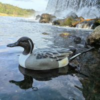 Leurre de canard avec système sonore intégré pour la chasse, équipement extérieur aquatique, flottant en EVA 3D réaliste