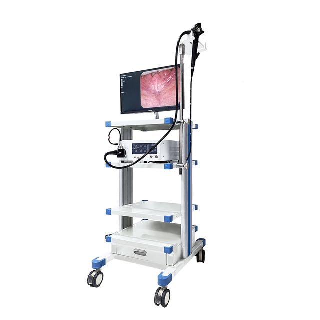 4K HD Video Colonoscope Endoscope Medical System Endoscope Camera