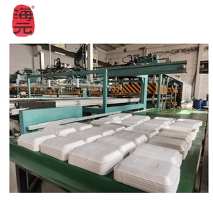 Equipo de Fabricación de Bandejas para Huevos y Cajas de Alimentos de Espuma de Poliestireno PS, Línea de Producción de Contenedores Desechables - Product Image 4