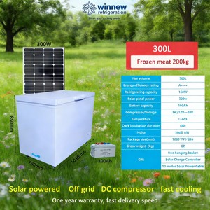 <span class=keywords><strong>Congélateur</strong></span> coffre solaire DC 300L-900L avec porte battante, <span class=keywords><strong>sans</strong></span> <span class=keywords><strong>givre</strong></span>, classe énergétique A+ pour hôtel, camping-car, usage domestique - Product Image 1