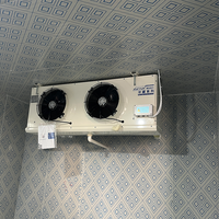 Solution de chambre froide conteneurisée 20 pieds 40 pieds, conteneur frigorifique de 10 tonnes, chambre froide de 20 pieds