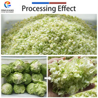 Kosteneffectieve gepersonaliseerde groentesalade productielijn: snij-, was- en centrifugemachine