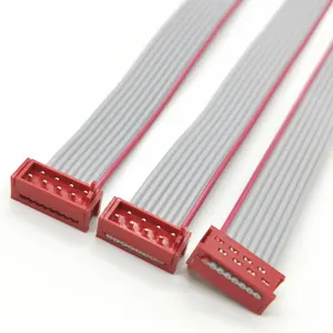 Câble de ruban flexible plat à bande rouge, 10 broches de 100mm 1.27mm de diamètre, livraison gratuite