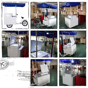 Prix bas, utilisation professionnelle, vélo-congélateur mobile, chariot à glace, chariot à glace <span class=keywords><strong>solaire</strong></span>, tricycle à glace, vélo électrique à glace à vendre - Product Image 6