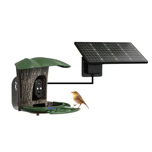 4G 3MP fotocamera Birdfy Feeder Cam alimentazione automatica Bird Pet Alarm Wild Outdoor Solar Camera