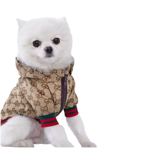 שמלת נסיכת יוקרה קטנה לכלבים וחתולים דפוס מוצק סגנון כותנה קלאסי לעונת האביב עבור גורי צ 'יוואווה - Product Image 1