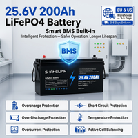Batterie LiFePO4 25,6 V 200 Ah pour tricycle électrique, vélo électrique, lithium 5120 Wh, cycle profond avec BMS pour kit de conversion de scooter électrique