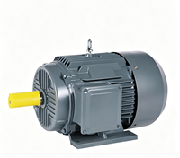 Moteur asynchrone à aimants permanents (PMSM) triphasé haute performance 1500 tr/min 50/60 Hz IE2 5,5 kW avec enroulement 100 % cuivre